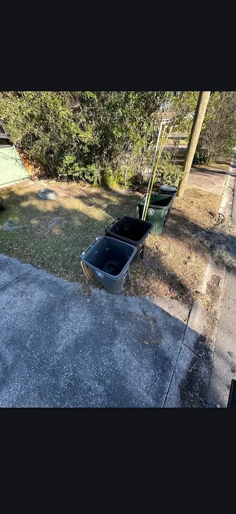 After photo of the same curb cleared with only the trash bins left