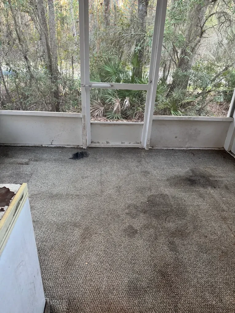After photo of the same porch fully cleared